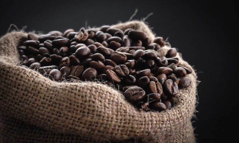 Café Albania (Apaneca) - Ruta de Las Flores High-Altitude Coffee Plantations & Canopy Adventure